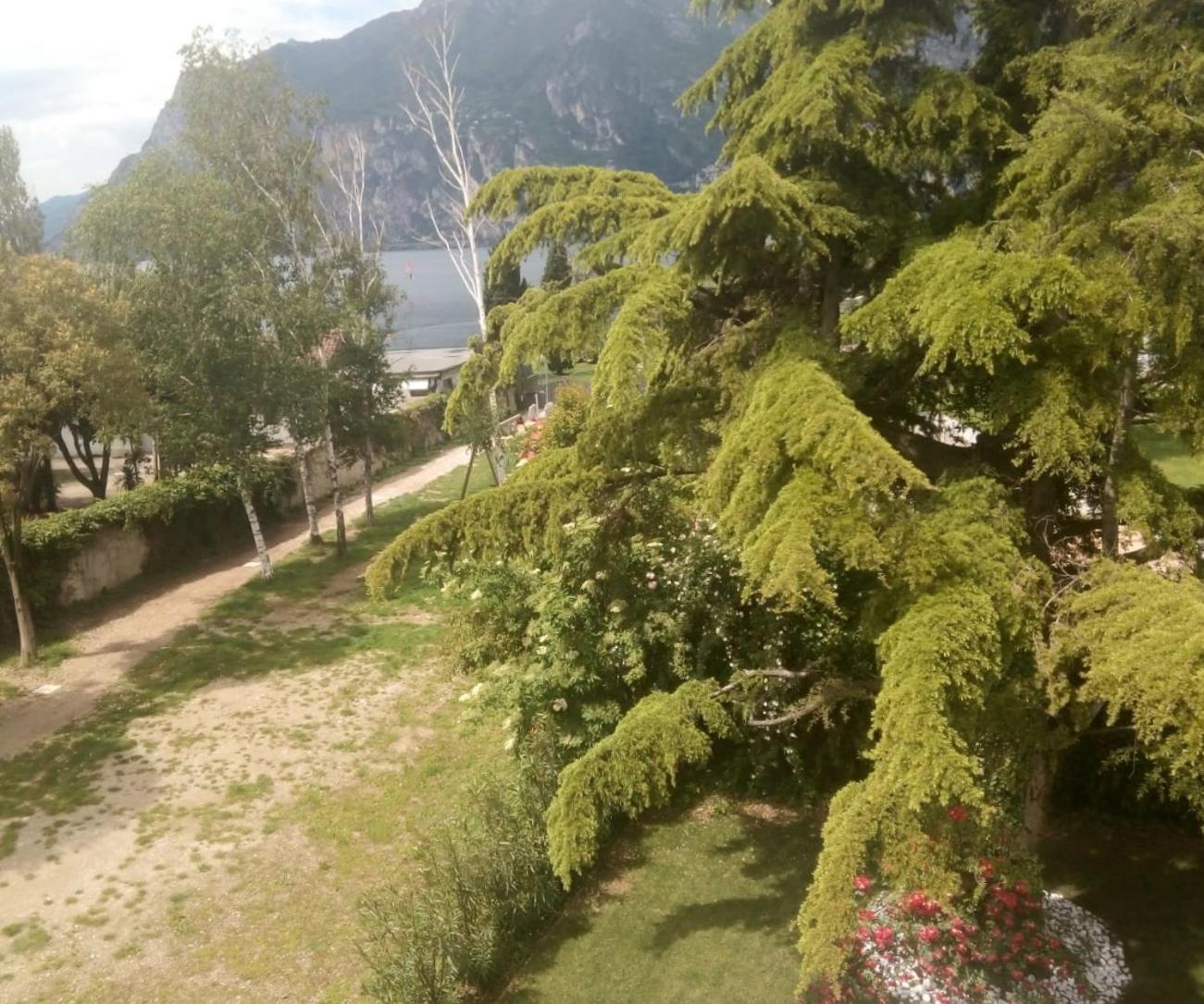 Villa Torbole Torbole Sul Garda Extérieur photo